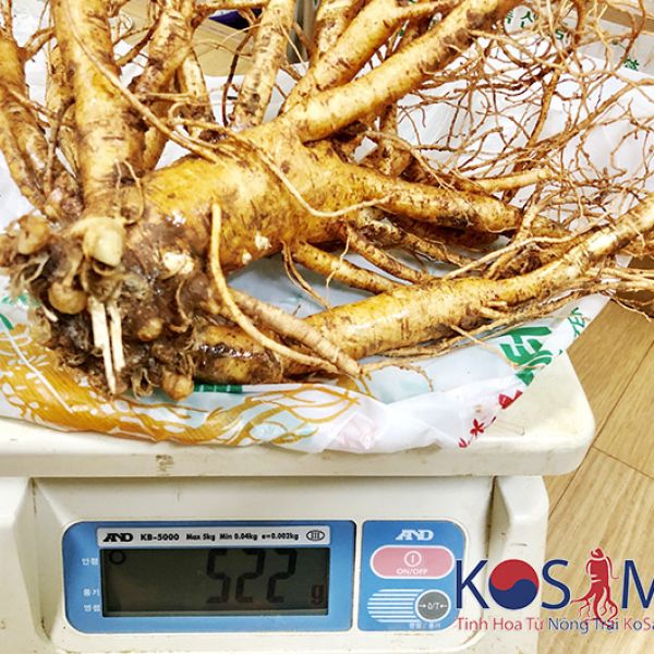 2 Roots per kg