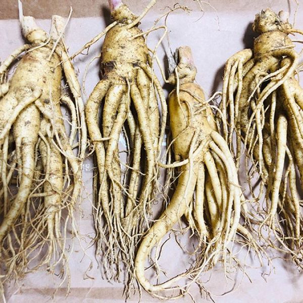 4 roots per kg type 2