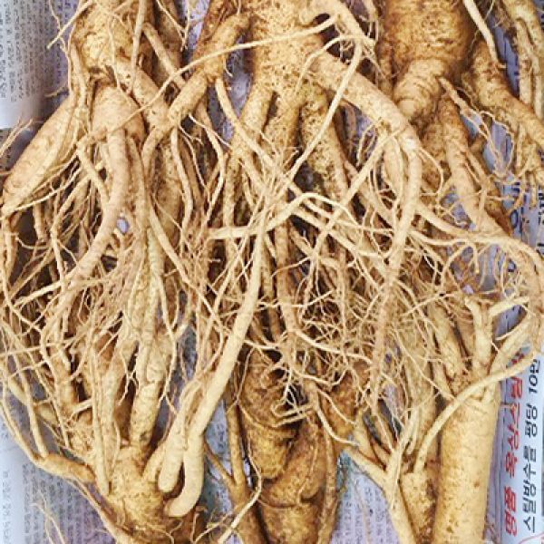 6 roots per kg type 2