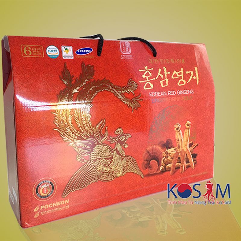 Red ginseng and Lingzhi drink