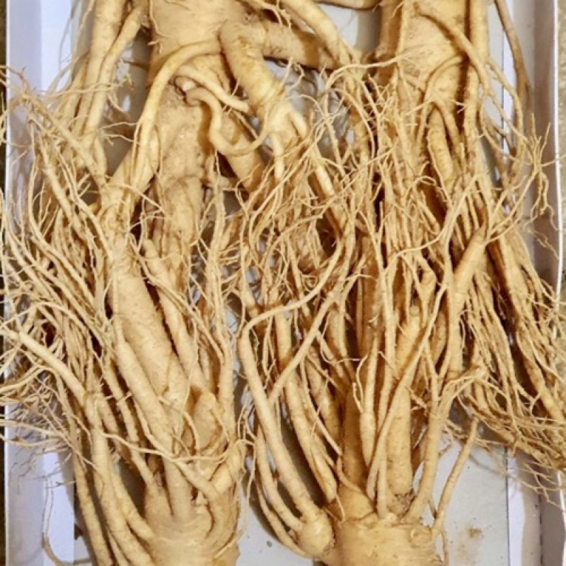 4 roots per kg type 1